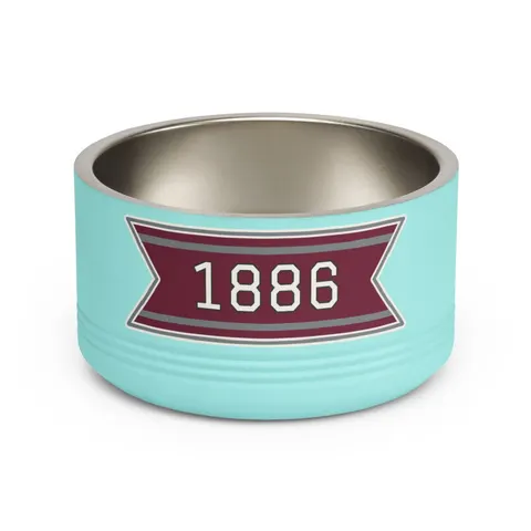 UMES 1886 Maroon & Grey Pet Bowl — front view