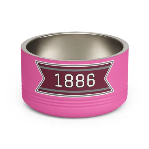 UMES 1886 Maroon & Grey Pet Bowl — front view