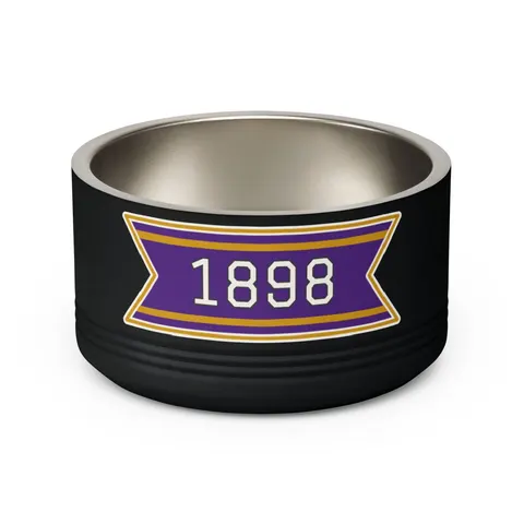 Miles 1898 Purple & Gold Pet Bowl — back view