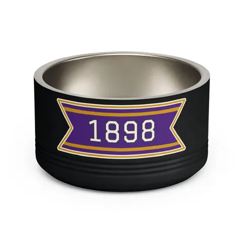 Miles 1898 Purple & Gold Pet Bowl — front view