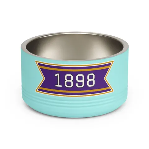 Miles 1898 Purple & Gold Pet Bowl — front view