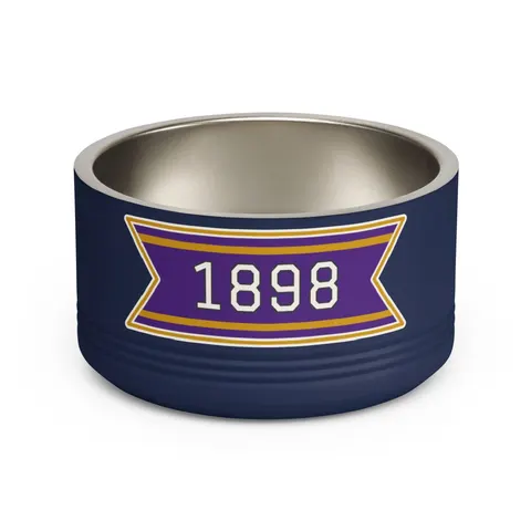 Miles 1898 Purple & Gold Pet Bowl — front view