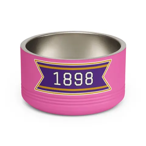 Miles 1898 Purple & Gold Pet Bowl — front view