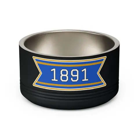 NC A&T 1891 Blue & Gold Tech Pattern Pet Bowl — back view