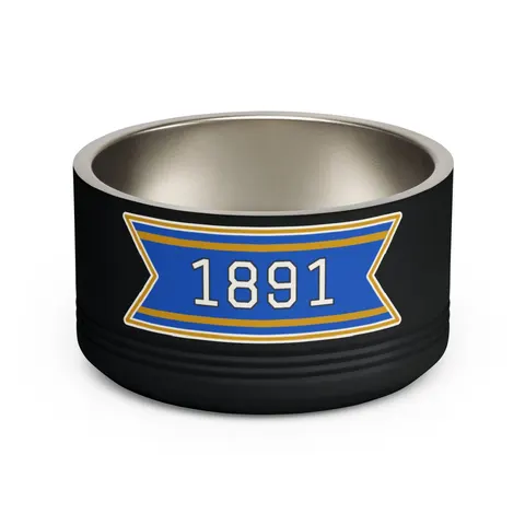 NC A&T 1891 Blue & Gold Tech Pattern Pet Bowl — front view
