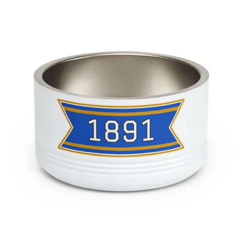 NC A&T 1891 Blue & Gold Tech Pattern Pet Bowl — front view