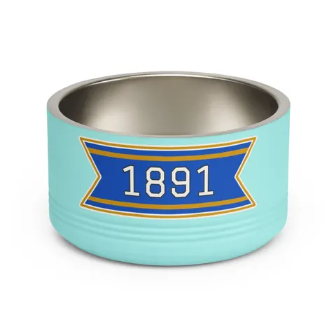NC A&T 1891 Blue & Gold Tech Pattern Pet Bowl — front view