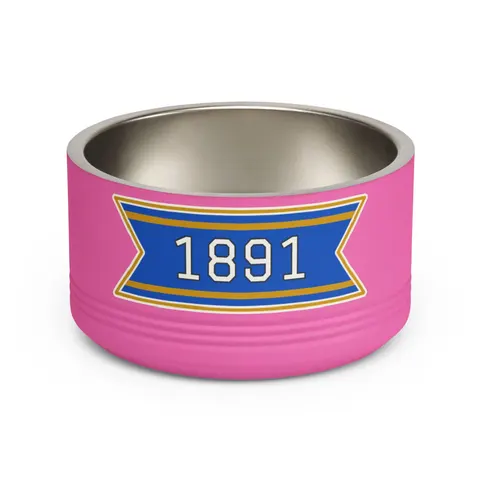 NC A&T 1891 Blue & Gold Tech Pattern Pet Bowl — front view