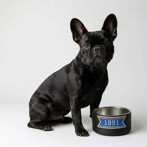 NC A&T 1891 Blue & Gold Tech Pattern Pet Bowl