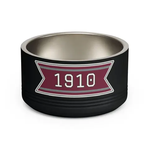 NC Central 1910 Maroon & Grey Pet Bowl — front view