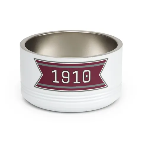 NC Central 1910 Maroon & Grey Pet Bowl — front view