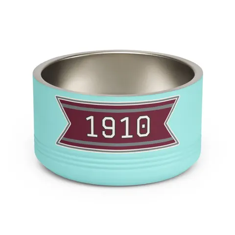 NC Central 1910 Maroon & Grey Pet Bowl — front view