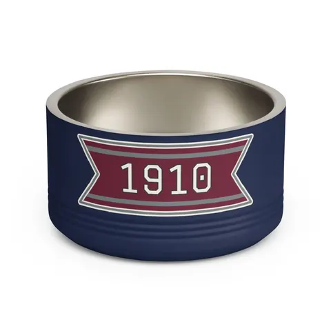 NC Central 1910 Maroon & Grey Pet Bowl — front view