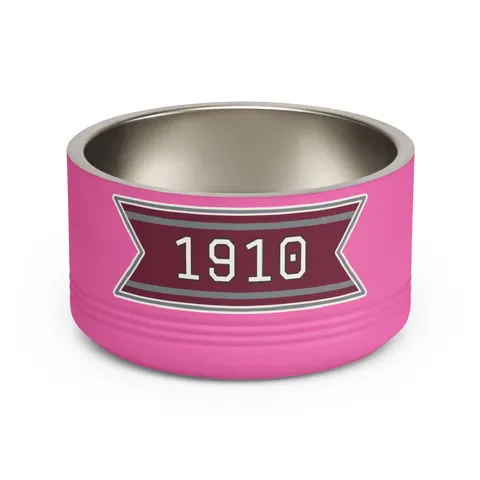 NC Central 1910 Maroon & Grey Pet Bowl — front view