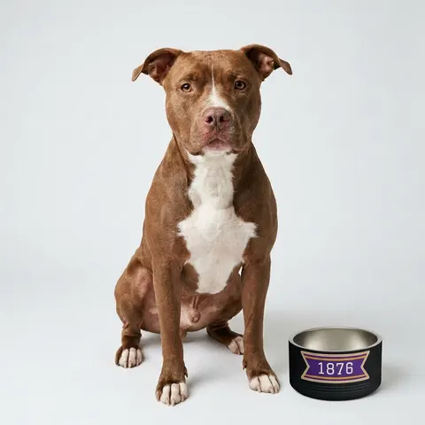 Prairie View 1876 Purple & Gold Pet Bowl
