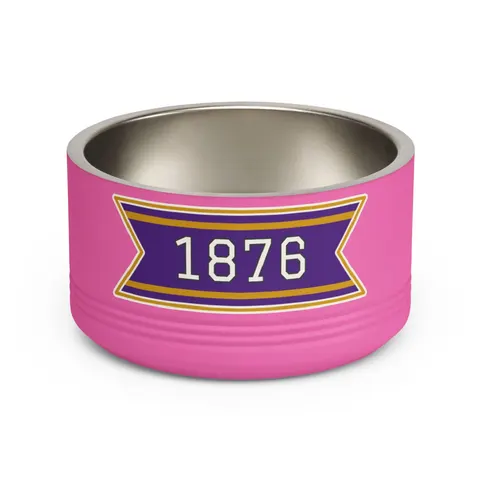 Prairie View 1876 Purple & Gold Pet Bowl — front view