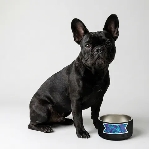90s Memphis Pattern Pet Bowl