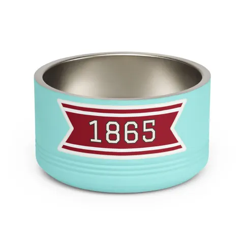 Shaw 1865 Crimson & White Pet Bowl — front view
