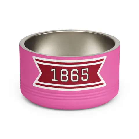 Shaw 1865 Crimson & White Pet Bowl — front view