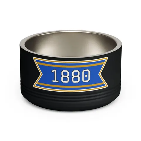 Southern 1880 Blue & Gold Block Pet Bowl — front view