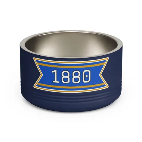 Southern 1880 Blue & Gold Block Pet Bowl — front view