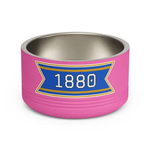 Southern 1880 Blue & Gold Block Pet Bowl — front view