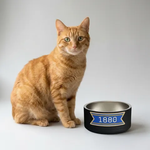 Southern 1880 Blue & Gold Block Pet Bowl