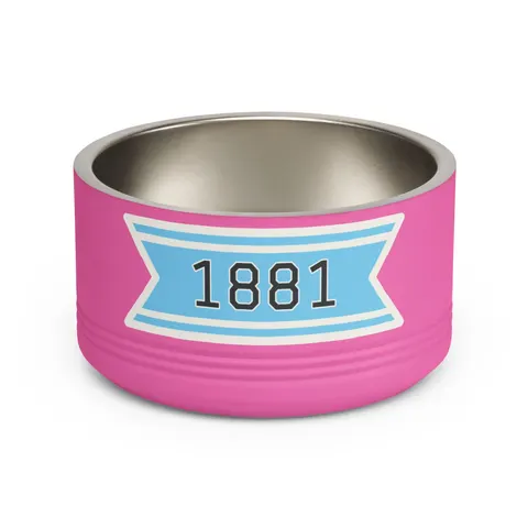 Spelman 1881 Sky Blue Elegance Pet Bowl — front view