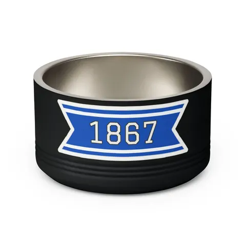 Saint Augustine's 1867 Blue & White Pet Bowl — back view