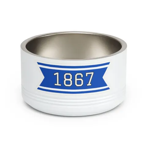 Saint Augustine's 1867 Blue & White Pet Bowl — front view