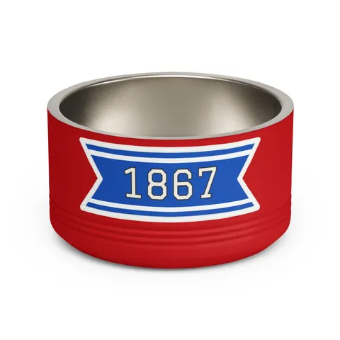 Saint Augustine's 1867 Blue & White Pet Bowl — front view