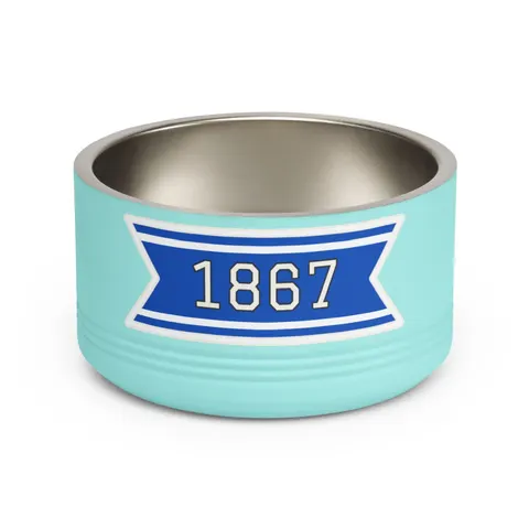 Saint Augustine's 1867 Blue & White Pet Bowl — front view