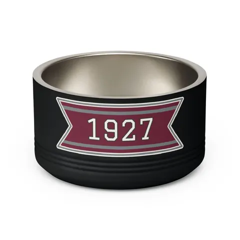 Texas Southern 1927 Maroon & Grey Pet Bowl — back view