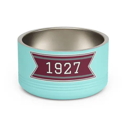 Texas Southern 1927 Maroon & Grey Pet Bowl — front view