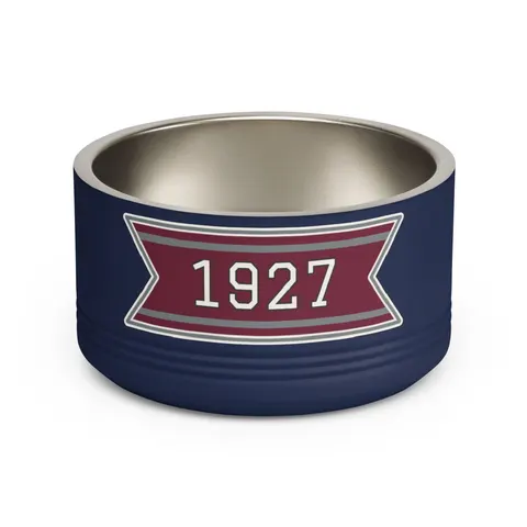 Texas Southern 1927 Maroon & Grey Pet Bowl — front view