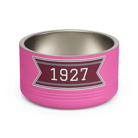Texas Southern 1927 Maroon & Grey Pet Bowl — front view