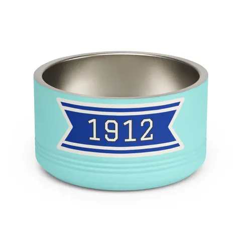 Tennessee State 1912 Royal Pattern Pet Bowl — front view