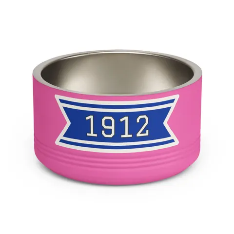 Tennessee State 1912 Royal Pattern Pet Bowl — front view