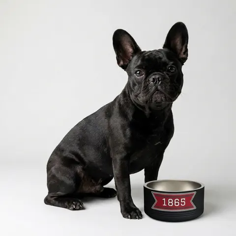 Virginia Union 1865 Crimson & Black Pet Bowl