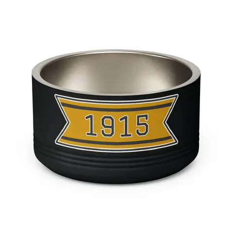 Xavier 1915 Gold & Black Pet Bowl — back view