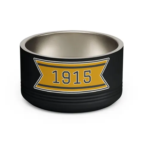 Xavier 1915 Gold & Black Pet Bowl — front view