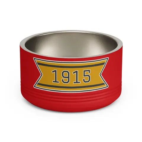 Xavier 1915 Gold & Black Pet Bowl — front view