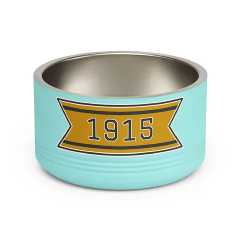 Xavier 1915 Gold & Black Pet Bowl — front view