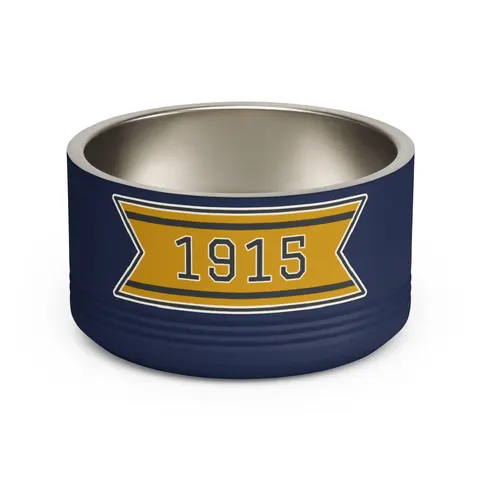 Xavier 1915 Gold & Black Pet Bowl — front view