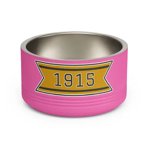 Xavier 1915 Gold & Black Pet Bowl — front view