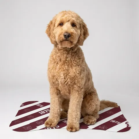 Pet Feeding Mats