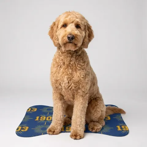 Albany State 1903 Blue & Gold Sunburst Pet Feeding Mats