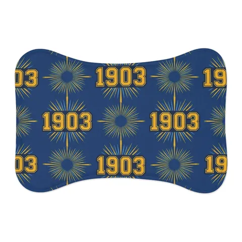 Albany State 1903 Blue & Gold Sunburst Pet Feeding Mats — other view