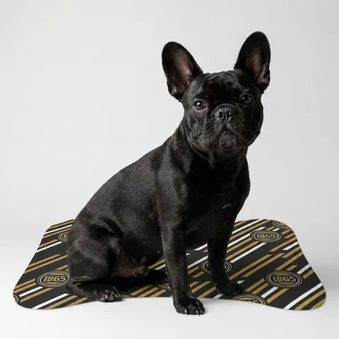 Bowie State 1865 Black & Gold Panel Pet Feeding Mats