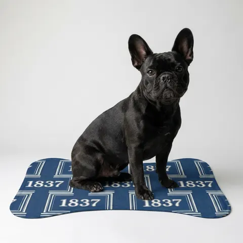 Pet Feeding Mats